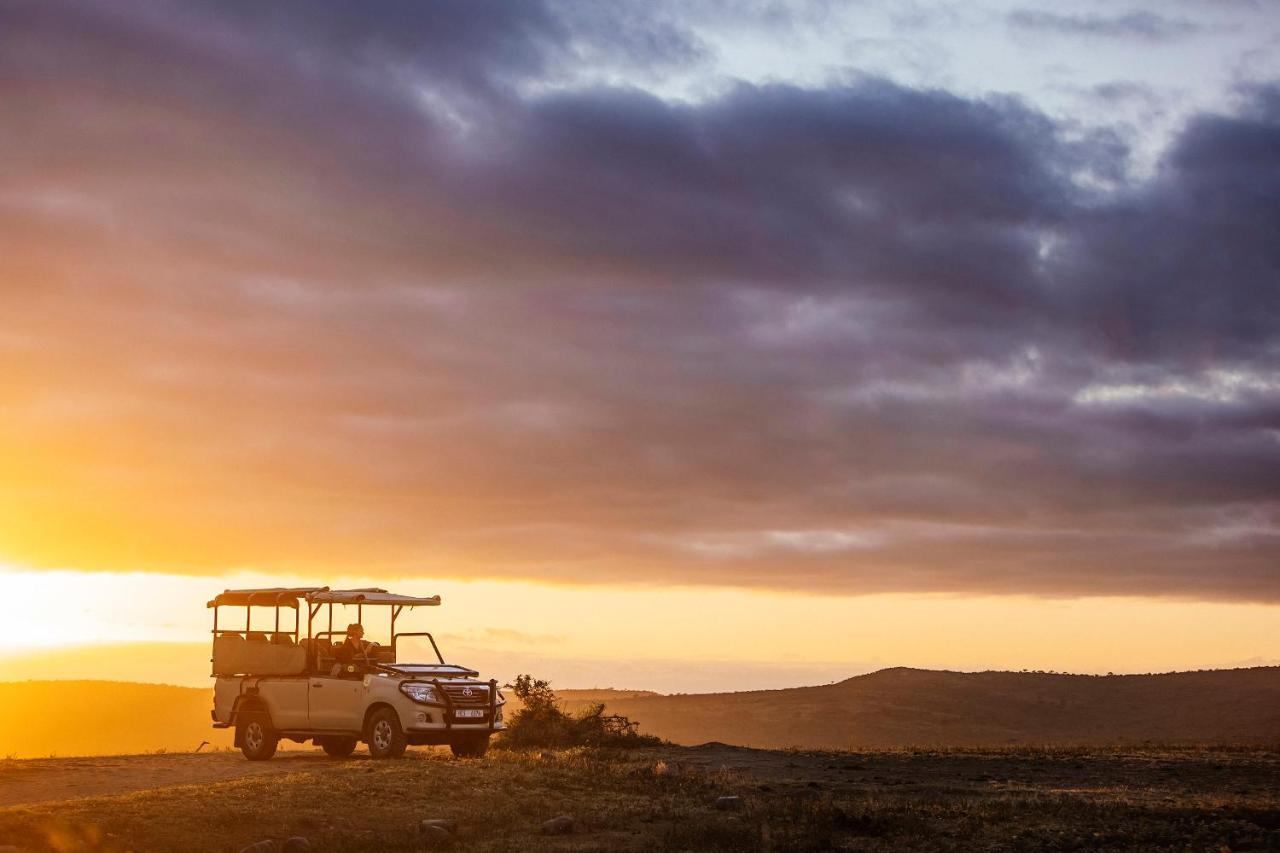 Rhino Ridge Safari Lodge KwaNompondo المظهر الخارجي الصورة