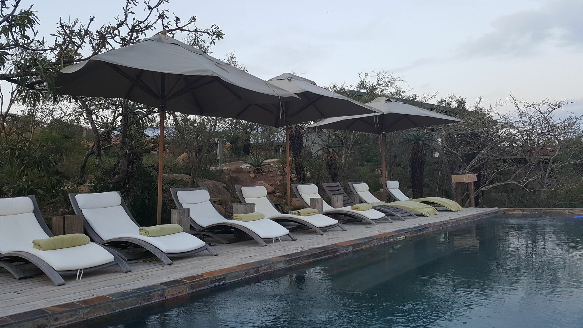 Rhino Ridge Safari Lodge KwaNompondo المظهر الخارجي الصورة