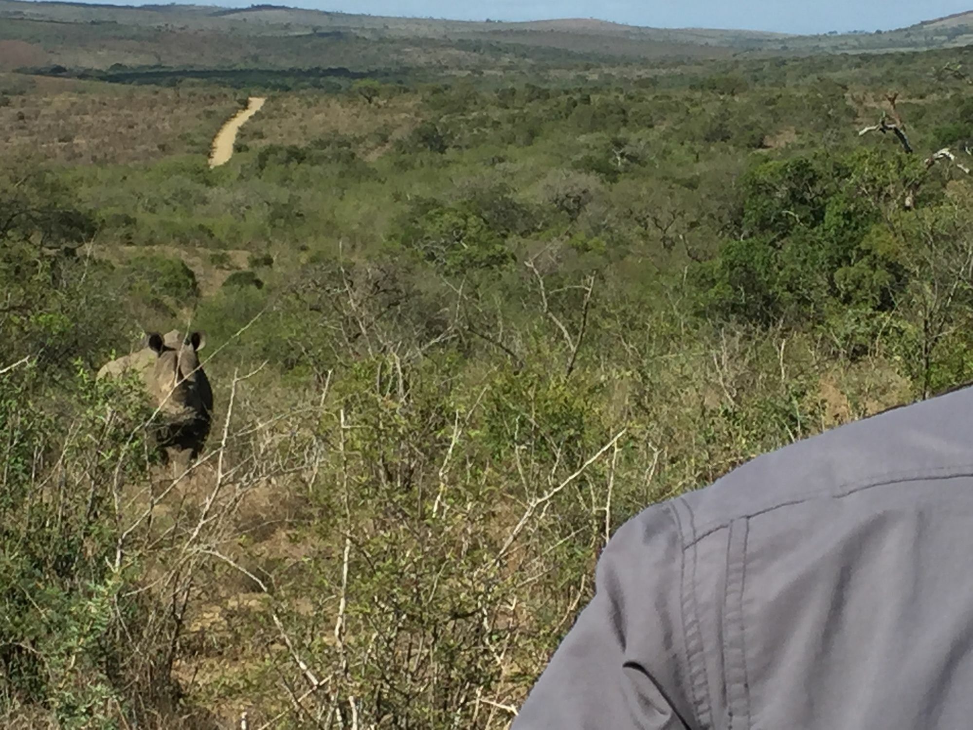 Rhino Ridge Safari Lodge KwaNompondo المظهر الخارجي الصورة
