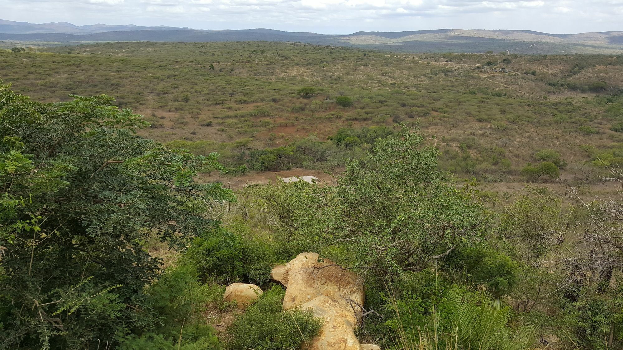 Rhino Ridge Safari Lodge KwaNompondo المظهر الخارجي الصورة